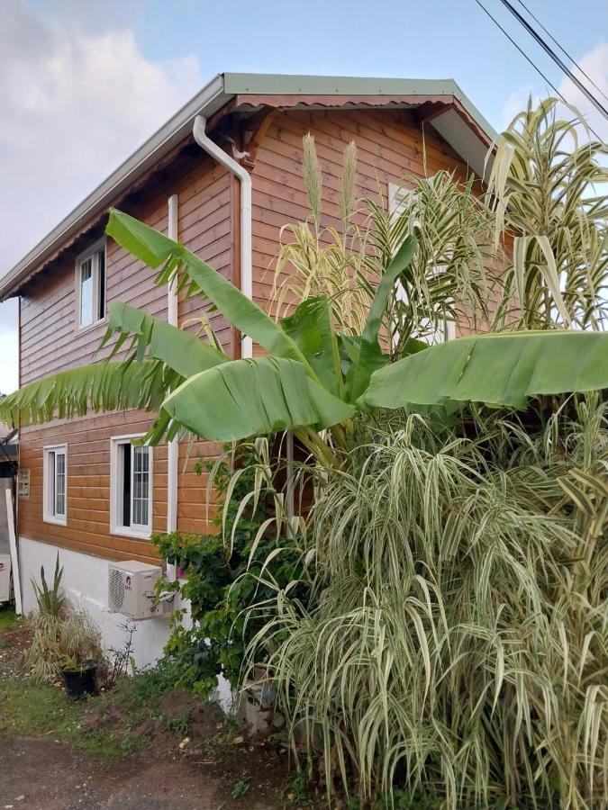 Le Cosy Bungalow De Lili / 5Min De L'Aeroport Les Abymes Exteriér fotografie